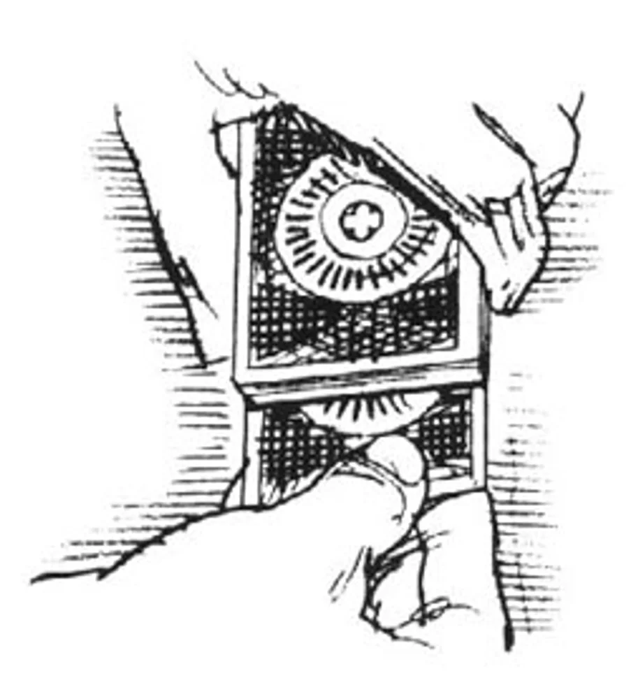 Illustrated playing card setup